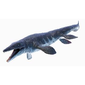 3D Tylosaurus Animated